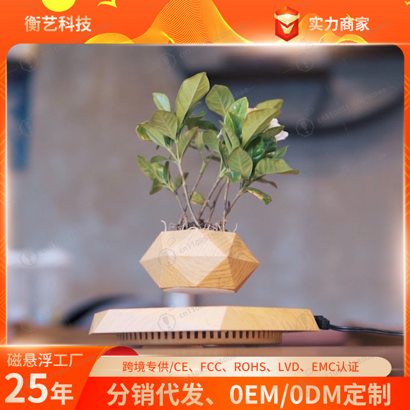 Magnetic Levitation Flower Pot - Bonsai.Tech Office ulasan dan harga