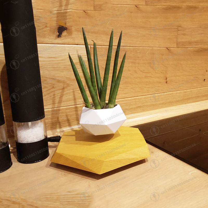 Magnetic Levitation Flower Pot - Bonsai.Tech Office ulasan dan harga