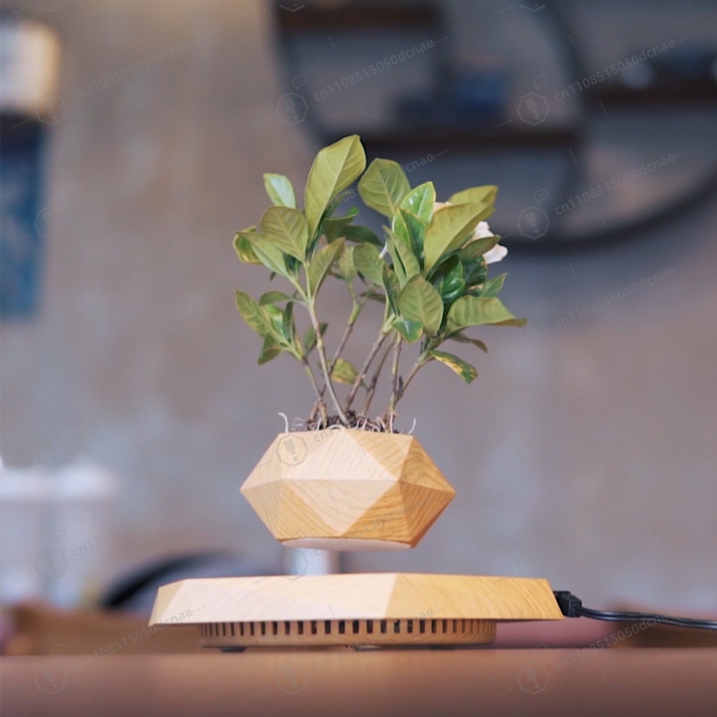 Magnetic Levitation Flower Pot - Bonsai.Tech Office ulasan dan harga